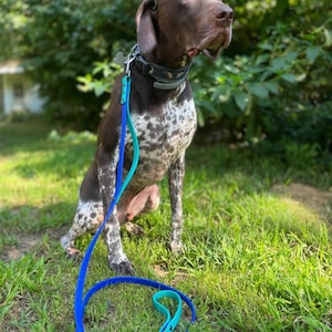 4 ft. Two-color BioThane® Dog Leash with Traffic Handle