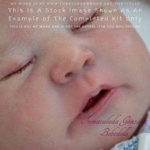 Reborn Baby **Hyper-Realistic** Reborn Doll Chase by Bonnie Brown  (21"+Full Limbs)