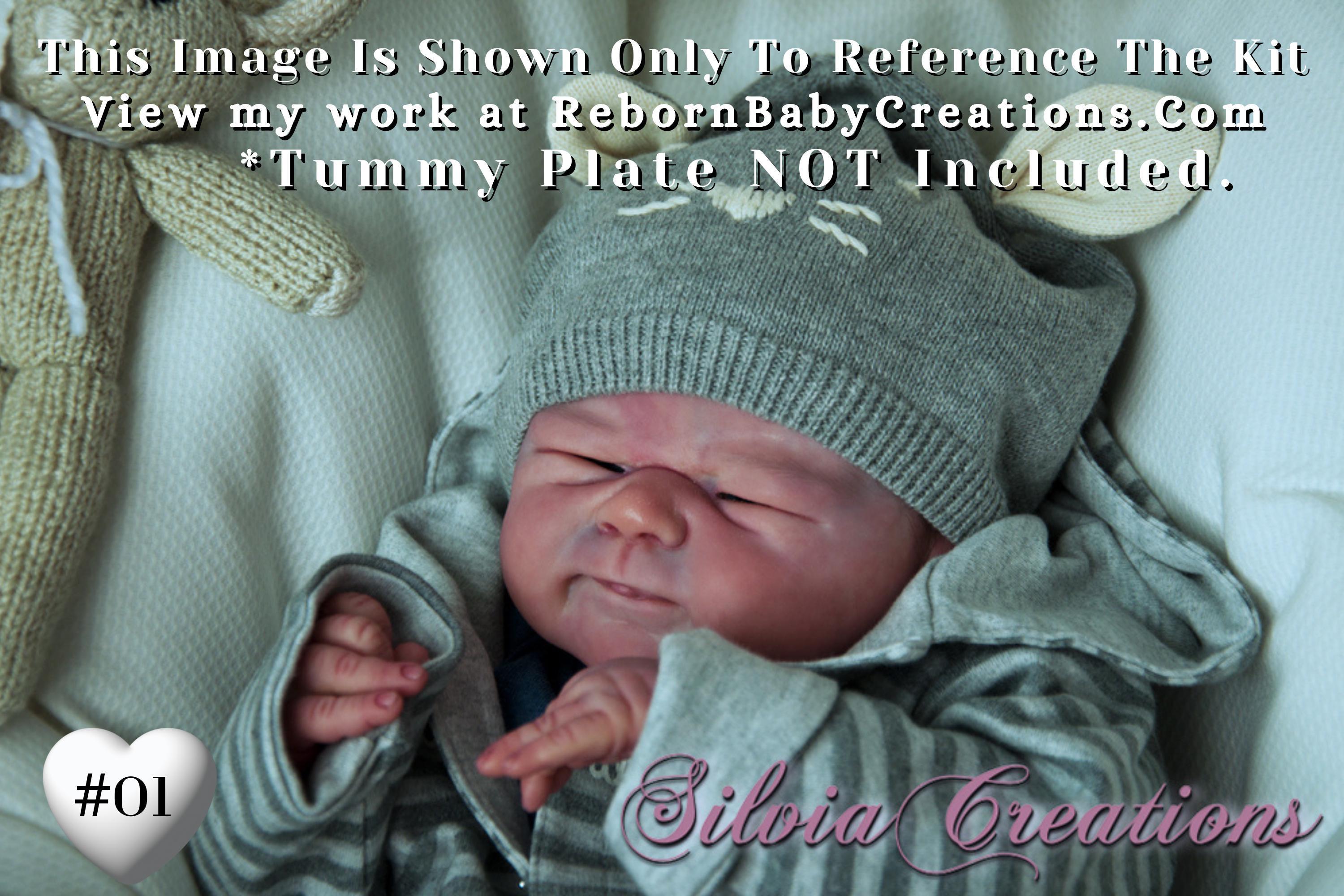 Franklin by Elisa Marx (19