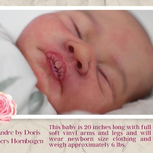 Może przedstawiać: Zbliżenie twarzy noworodka, z zamkniętymi oczami i lekko otwartymi ustami. Dziecko ma około 51 cm długości i waży około 2,7 kg. Dziecko nosi ubranka w rozmiarze dla noworodka. Dziecko to Leandre by Doris Moyers Hornbogen.