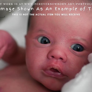 Primrose awake by Laura Lee Eagles (18"+Full Limbs)