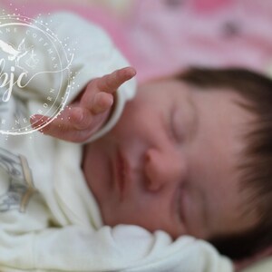 Amazing Hyper-Realistic Reborn Custom Doll Laura by Bonnie Brown (20" Full Limbs)