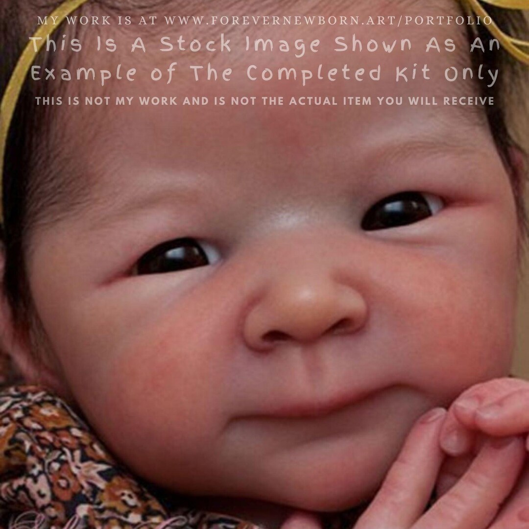 ECONOMY REBORN Xia di Adrie Stoete (20