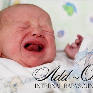 Reborn Baby Add Internal BabySound Unit To Your Reborn *Must Be Purchased WITH A Custom Doll **Upgrade Items. *Add-On Item