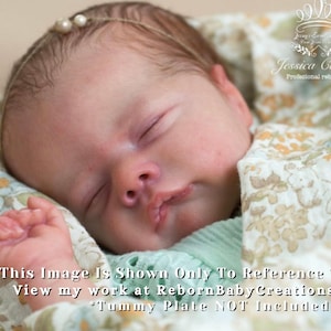 LE Lil Prem by Laura Lee Eagles~Pre-Order (15&quot;+Full Limbs)