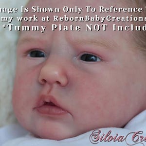 Amazing Hyper-Realistic Reborn Custom Doll LE Ellie-Sue by Bonnie Brown (19"+Full Limbs)