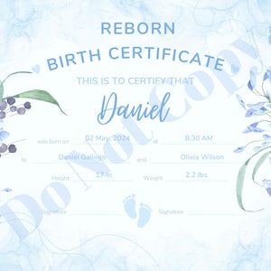 May include: A blue and white Reborn Birth Certificate with floral accents. The certificate includes the name "Daniel", date of birth, time, parents' names, height (17 inches), and weight (2.2 lbs).