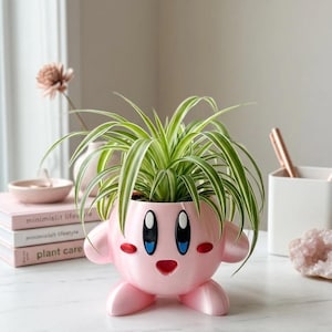 May include: A pink, cartoon-style planter shaped like a character with large blue eyes, red cheeks, and a smiling mouth. The planter holds a green and white spider plant. The planter is on a white surface.