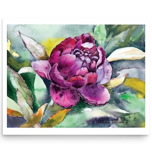 Pink Peony Watercolor Print Botanical Flower Wall Art Floral Poster for Bedroom Living Room Office Peony Art Print