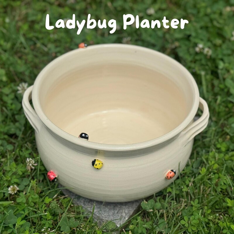 Ladybug Planter - Etsy