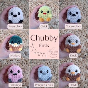 Peut inclure: Neuf jouets d'oiseaux en peluche crochetés dans différentes couleurs et styles, dont un cygne, un poussin, une oie, un canard colvert, un canard, un flamant rose, un manchot et un faucon. Les jouets sont disposés en grille et étiquetés avec leurs noms. Le titre "Chubby Birds" est affiché au centre de la grille.