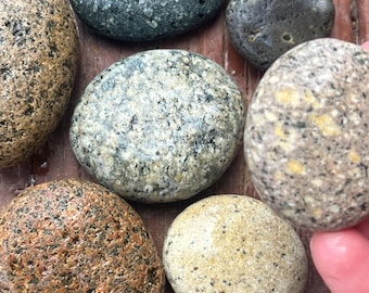Beach Stone Collection: Pudding Stones, Nature Rocks granite