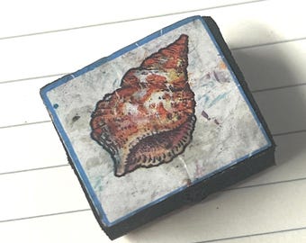 Conch Shell, Seashell, Ocean Life vintage rubber rare