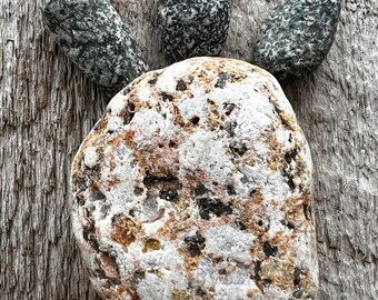 Granite Stones Nature Home Decor Bear Paw Display, Balance and Grounding Stones Metaphysical