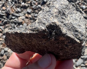 Dog Duck Rock aquarium terrarium decor, natural artifact