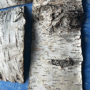 Birch Bark Wood Stack for Crafting 6pcs Sustainable Eco Friendly Handmade Natural Cottage Core Read description for sizes needs flattening image 3