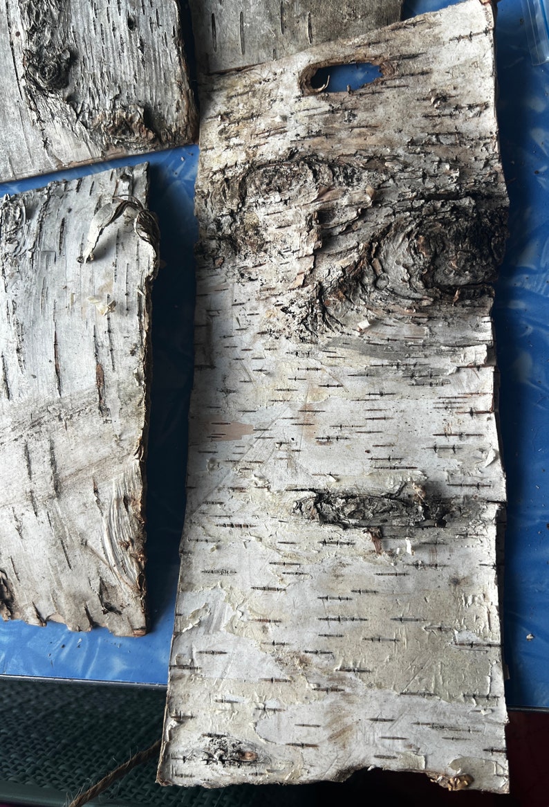 Birch Bark Wood Stack for Crafting 6pcs Sustainable Eco Friendly Handmade Natural Cottage Core Read description for sizes needs flattening image 3