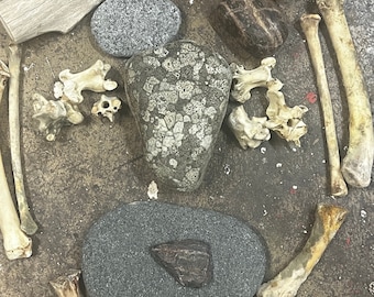 Stones and Bones Antlers Snowflake Aquarium Rock Natural Decor Terrarium , Spells or Divination Kit Green Witch Supplies
