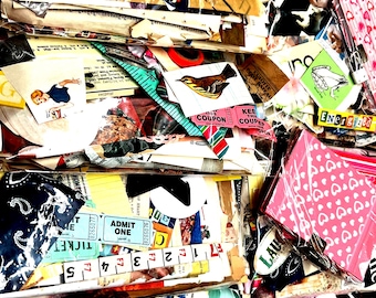 Vintage Ephemera Altered Art Pack Book Pages, Junk Journal Mixed Media Scrapbooking Craft KIT