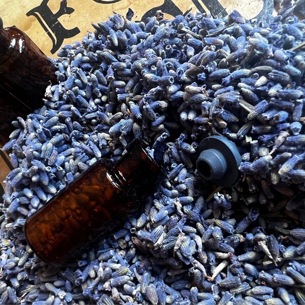 Lavender Vial for Stress, Calm Spells, Divination, Witchcraft Work Hoodoo Voodoo Wicca or Display Make a Necklace Not 4 Eating PASSION