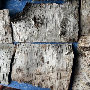 Birch Bark Wood Stack for Crafting 6pcs Sustainable Eco Friendly Handmade Natural Cottage Core Read description for sizes needs flattening image 1