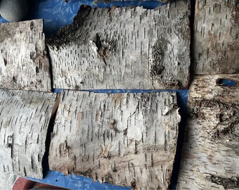 Birch Bark Wood Stack for Crafting  6pcs Sustainable Eco Friendly Handmade Natural  Cottage Core Read description for sizes needs flattening