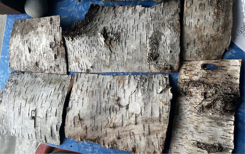 Birch Bark Wood Stack for Crafting 6pcs Sustainable Eco Friendly Handmade Natural Cottage Core Read description for sizes needs flattening image 1