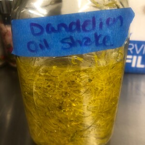 Dandelion Face Oil Natural Homemade or Anointing Offering HANDMADE Purse Size BOGO Free for 2024 image 6