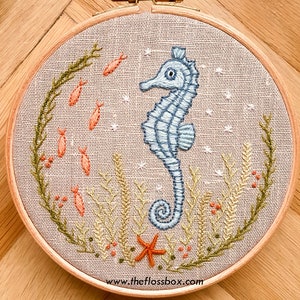 Seahorse Crewel Embroidery Kit