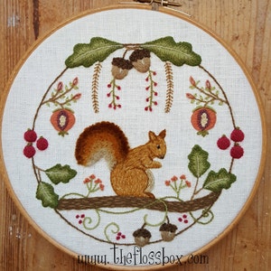 May include: Embroidered hoop art featuring a brown squirrel sitting on a branch with green leaves and red berries. The background includes acorns, green leaves, and red berries. The text "www.theflossbox.com" is at the bottom of the hoop.