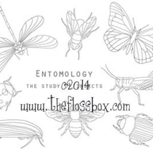 Entomology Embroidery Pattern