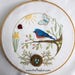 see more listings in the Embroidery Patterns section