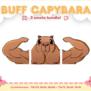 May include: A cartoon image of a strong capybara flexing its arms. The image is split into three parts, with the capybara's body in the middle and its muscular arms on either side. The text at the top says "BUFF CAPYBARA" and "3 emote bundle!"