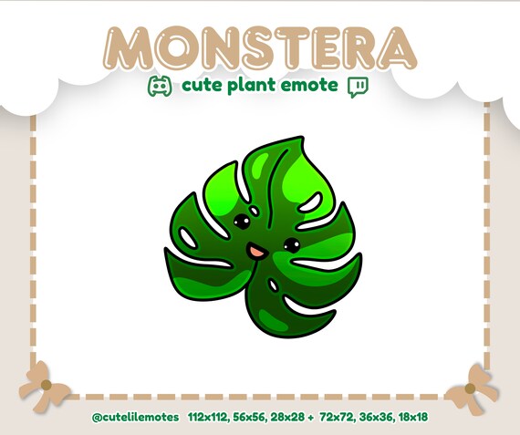 philodendron gieen wie oft Philodendron gigas  Samt-Riese