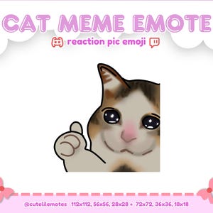 May include: A cartoon cat with brown, white, and orange fur gives a thumbs up with a sad expression. The cat has large, round, blue eyes with teary drops. The text "CAT MEME EMOTE" is at the top of the image. The text "reaction pic emoji" is below the cat. The text "@cutelilemotes 112x112, 56x56, 28x28 + 72x72, 36x36, 18x18" is at the bottom of the image.