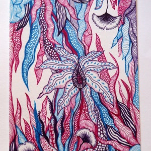 Botanical drawing