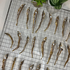 Dehydrated Whole Smelt for Dogs and Cats