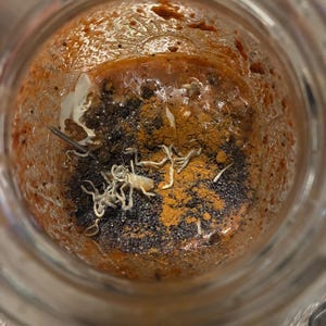 May include: A glass jar containing a mixture of orange-toned paste, dark brown granular particles, and bright yellow powder. Several thin, pale, dried organic strands are scattered across the surface, along with a single thin metal pin.