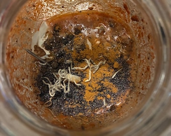 May include: A glass jar containing a mixture of orange-toned paste, dark brown granular particles, and bright yellow powder. Several thin, pale, dried organic strands are scattered across the surface, along with a single thin metal pin.