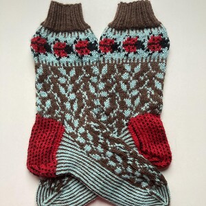 Può includere: Un paio di calzini lavorati a maglia a mano con un motivo marrone, blu e rosso. I calzini hanno un design geometrico con un motivo ripetitivo di piccoli cerchi e una fascia rossa in alto.