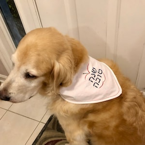 Bandana para perros Rosh Hashaná con cierre de velcro para Año Nuevo judío