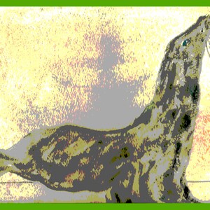 Happy Seal, Seal art, Seal portrait,