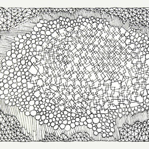 Adult Coloring Page Organic Structures nanoscapes Digital Download
