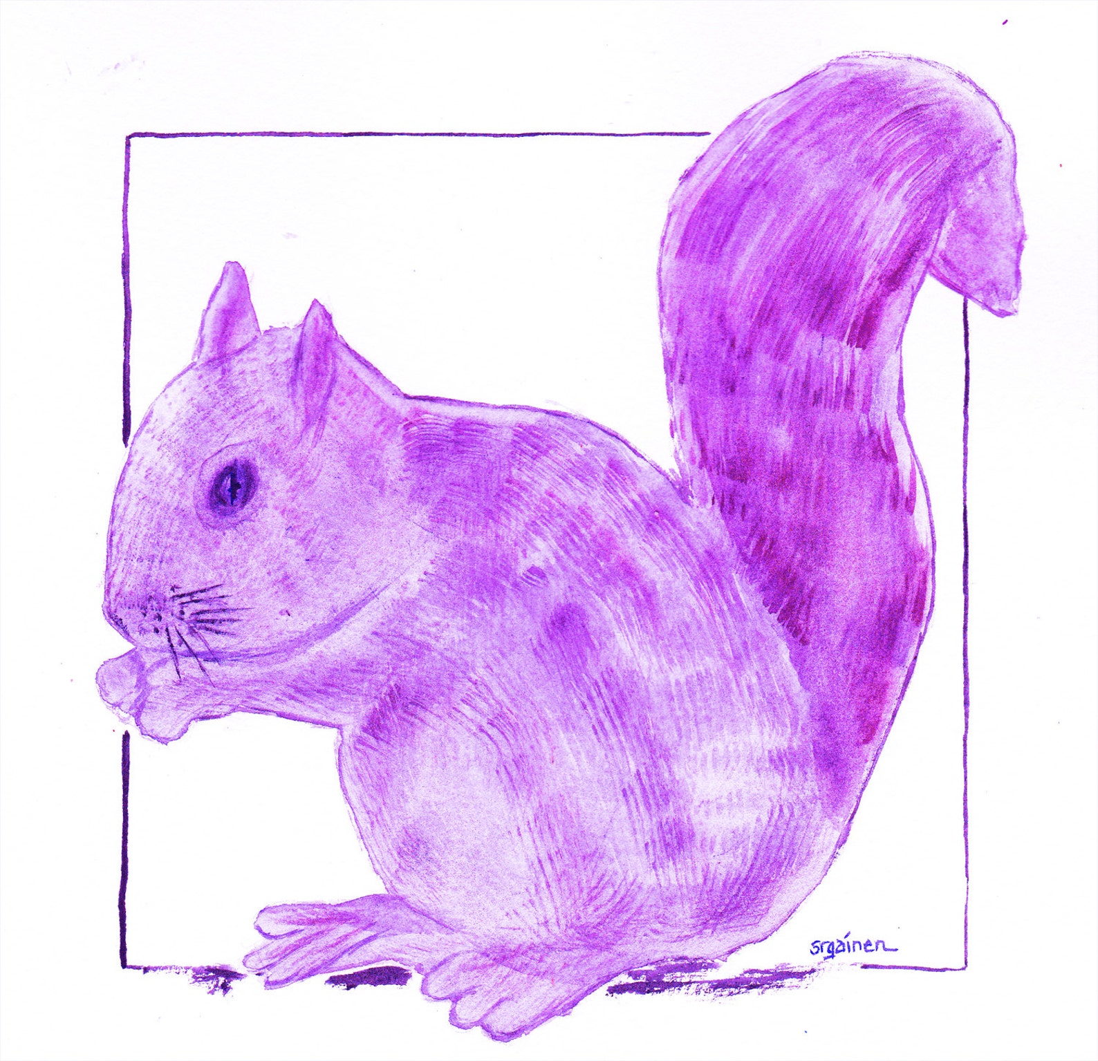 Squirrel, Purple Squirrel, Squirrel Art, Purple Squirrel Art, Purple ...