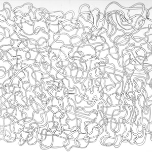 Puede incluir: Un dibujo en blanco y negro de un patr&oacute;n abstracto complejo de l&iacute;neas y curvas entrelazadas.