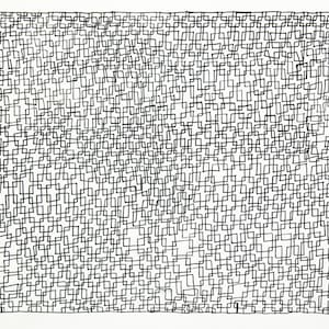 May include: Black and white abstract drawing of a grid of squares and rectangles. The drawing is made with fine lines and creates a complex pattern.
