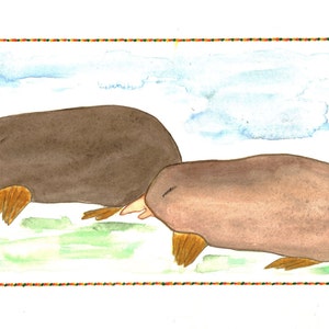 Mole, Mole Art, Mary & Marty Mole, Mole Family, Mole Family Art, Mole Print, Mole Whimsy