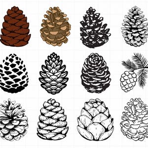 Cone svg bundle,Pinecone svg, Pine Tree Clipart , Pine Tree Vector, Woodland pine cone Svg, Autumn plant Svg, Conifer cone Svg,cone clipart