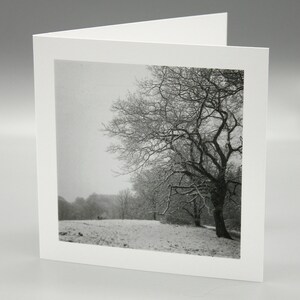 Winter Woodland card.