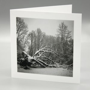 Winter Woodland Snow Covered Fallen Tree card.